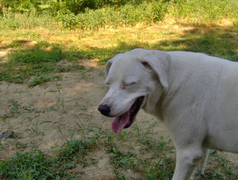 kep_076.jpg